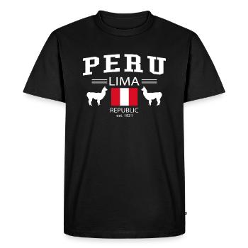 Peru - Männer Premium Bio T-Shirt - Schwarz - Vorne - Nico (187cm)