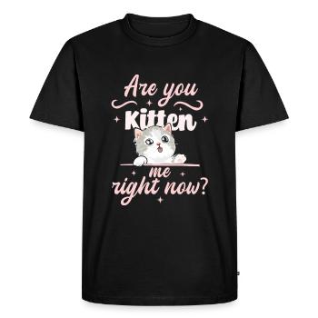 Are you a kitten now? - Men's Premium Organic T-Shirt - black - Front - Nico (187cm)
