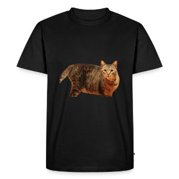 Cat Kitten - Men's Premium Organic T-Shirt - black - Front - Nico (187cm)