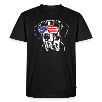 BUNNY DOGGY Drapeau américain USA Wilsigns - T-shirt Premium bio Homme - noir - Devant - Nico (187cm)