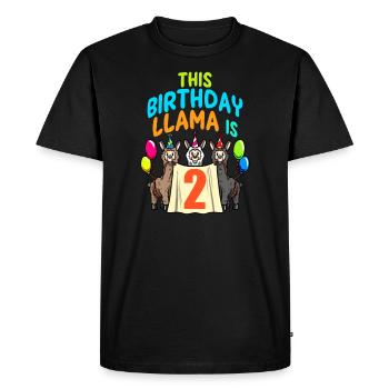 Llama Girl 2nd Fête d’anniversaire Alpaga - T-shirt Premium bio Homme - noir - Devant - Nico (187cm)