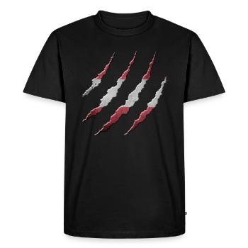 Autriche - T-shirt Premium bio Homme - noir - Devant - Nico (187cm)