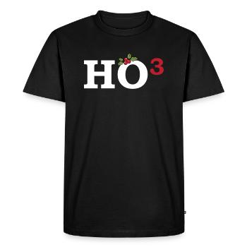 Paroles drôles Noël - T-shirt Premium bio Homme - noir - Devant - Nico (187cm)