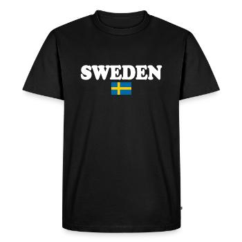 Sweden - Men's Premium Organic T-Shirt - black - Front - Nico (187cm)