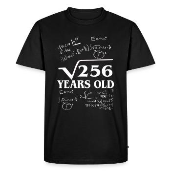 Sweet sixteen, math - Men's Premium Organic T-Shirt - black - Front - Nico (187cm)