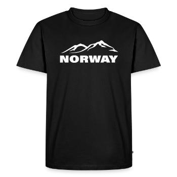 NORWAY - Men's Premium Organic T-Shirt - black - Front - Nico (187cm)