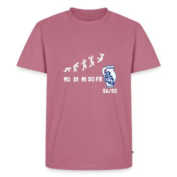 Apfelwein Äppelwoi Bembel Hessen - Männer Premium Bio T-Shirt - Mauve - Vorne - Nico (187cm)