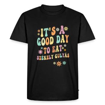 Le sort de Szekely Gulya - T-shirt Premium bio Homme - noir - Devant - Nico (187cm)