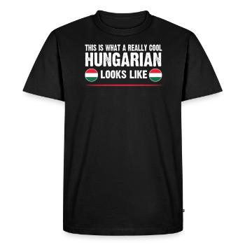 Hongrie Drapeau hongrois Racines hongroises - T-shirt Premium bio Homme - noir - Devant - Nico (187cm)
