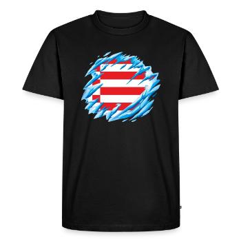 Drapeau de Brême Drapeau de Brême - T-shirt Premium bio Homme - noir - Devant - Nico (187cm)