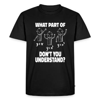 Drôle de mathématique Équation quadratique Forme d’interception de pente - T-shirt Premium bio Homme - noir - Devant - Nico (187cm)
