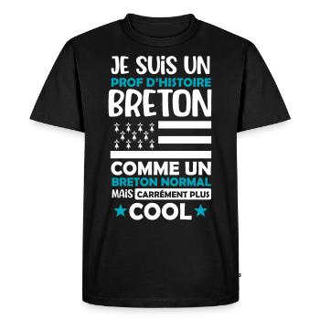 Prof d'histoire breton cadeau drôle bretagne - T-shirt Premium bio Homme - noir - Devant - Nico (187cm)