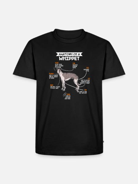 Anatomy Of A Whippet Dog - Men's Premium Organic T-Shirt - black