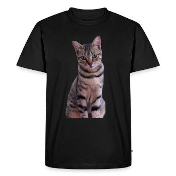 Chaton chat - T-shirt Premium bio Homme - noir - Devant - Nico (187cm)