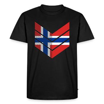 Drapeau de la Norvège Drapeau de la Scandinavie Drapeau de la Norvège - T-shirt Premium bio Homme - noir - Devant - Nico (187cm)