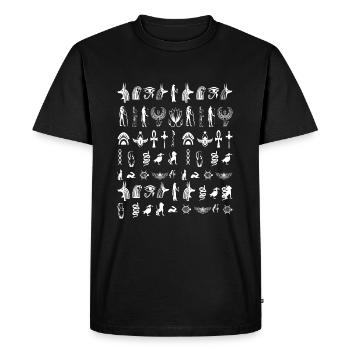 Égypte Hiéroglyphes Égyptien - T-shirt Premium bio Homme - noir - Devant - Nico (187cm)