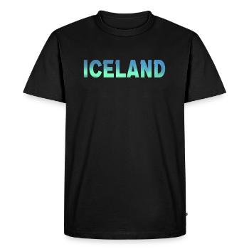 Islande Islande Aurores boréales Aurores boréales - T-shirt Premium bio Homme - noir - Devant - Nico (187cm)