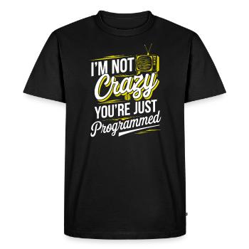 Mind Control Mk-Ultra Conspiracy And Government - Men's Premium Organic T-Shirt - black - Front - Nico (187cm)