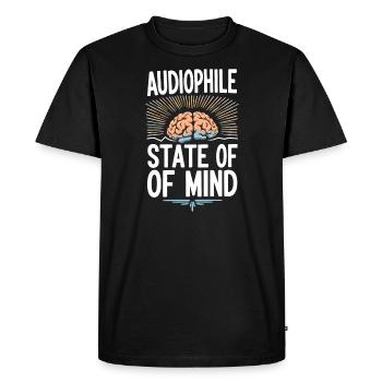 High-quality premium sound for audiophile culture - Men's Premium Organic T-Shirt - black - Front - Nico (187cm)