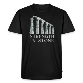 Passionnés d’histoire Passionnés de la Rome antique - T-shirt Premium bio Homme - noir - Devant - Nico (187cm)