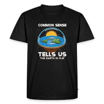 Théorie de la Terre plate Terre plate Armée de la Terre plate Terre - T-shirt Premium bio Homme - noir - Devant - Nico (187cm)