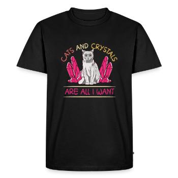Crystal Healing Crystals and Stones - Men's Premium Organic T-Shirt - black - Front - Nico (187cm)
