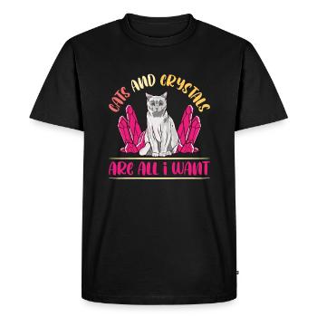 Crystal Healing Crystals and Stones - Men's Premium Organic T-Shirt - black - Front - Nico (187cm)