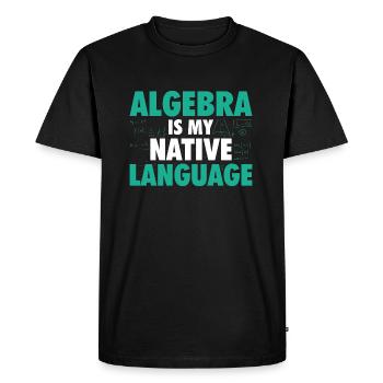 Algebra Mathematics | Math Mathematician Gift - Men's Premium Organic T-Shirt - black - Front - Nico (187cm)