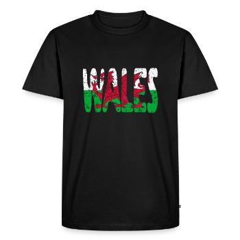 Wales Welsh Flag United Kingdom UK Dragon - Men's Premium Organic T-Shirt - black - Front - Nico (187cm)
