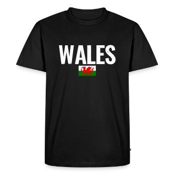 Pays de Galles Drapeau gallois Gallois - T-shirt Premium bio Homme - noir - Devant - Nico (187cm)