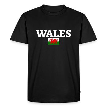 Pays de Galles Drapeau gallois Gallois - T-shirt Premium bio Homme - noir - Devant - Nico (187cm)