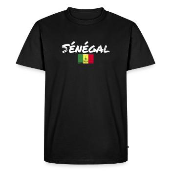 Sénégal Vintage Sénégal Drapeau du Sénégal - T-shirt Premium bio Homme - noir - Devant - Nico (187cm)
