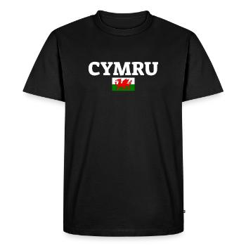 Cymru Pays de Galles Drapeau gallois Gallois - T-shirt Premium bio Homme - noir - Devant - Nico (187cm)