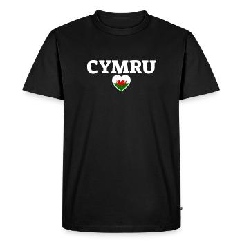 Cymru Pays de Galles Drapeau gallois Gallois - T-shirt Premium bio Homme - noir - Devant - Nico (187cm)