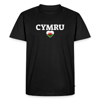 Cymru Wales Vintage Drapeau gallois Gallois - T-shirt Premium bio Homme - noir - Devant - Nico (187cm)