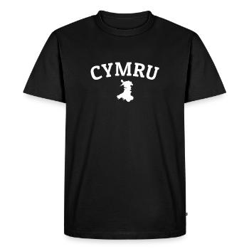 Cymru Pays de Galles Gallois - T-shirt Premium bio Homme - noir - Devant - Nico (187cm)