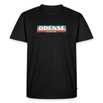 Odense Danemark Danemark Danois Fier Danois - T-shirt Premium bio Homme - noir - Devant - Nico (187cm)