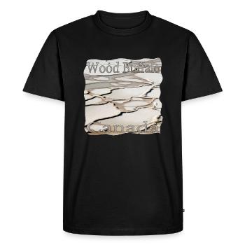 Parc national Wood Buffalo Plaines salées, Canada - T-shirt Premium bio Homme - noir - Devant - Nico (187cm)