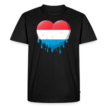 Drapeau luxembourgeois Drapeau luxembourgeois Accueil - T-shirt Premium bio Homme - noir - Devant - Nico (187cm)