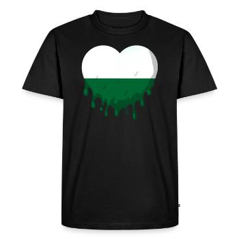 Drapeau de Saxe Drapeau saxon Ossi Holiday SN - T-shirt Premium bio Homme - noir - Devant - Nico (187cm)
