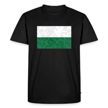 Drapeau de Saxe Drapeau saxon Ossi Holiday SN - T-shirt Premium bio Homme - noir - Devant - Nico (187cm)