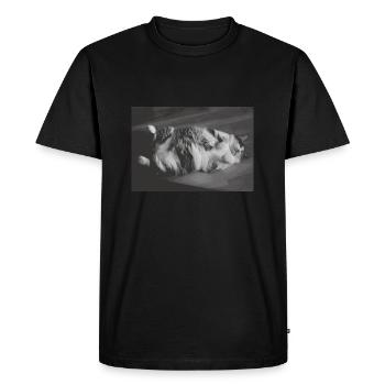 Chemise de sommeil officielle Chat Pyjama Cat Maman - T-shirt Premium bio Homme - noir - Devant - Nico (187cm)