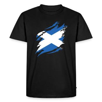 Drapeau écossais Drapeau écossais Alba GB Royaume-Uni - T-shirt Premium bio Homme - noir - Devant - Nico (187cm)