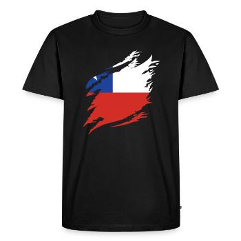 Chili Drapeau Amérique du Sud Drapeau Chili Vintage - T-shirt Premium bio Homme - noir - Devant - Nico (187cm)