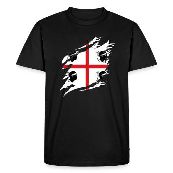 Sardinia flag Sardinian flag Sardegna flag - Men's Premium Organic T-Shirt - black - Front - Nico (187cm)