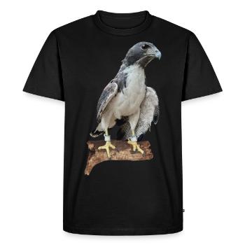 Falcon - Men's Premium Organic T-Shirt - black - Front - Nico (187cm)