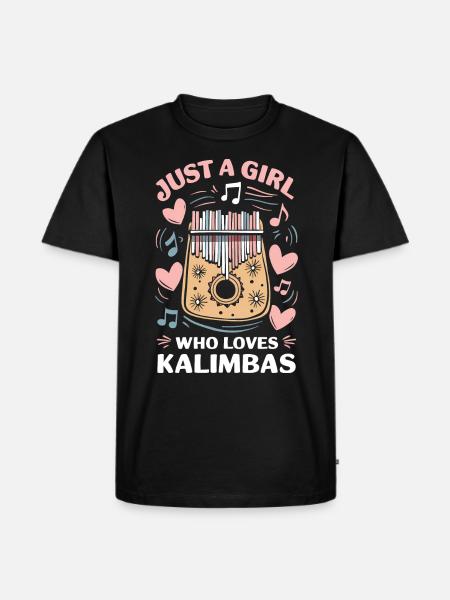 Idiophon Kalimba Geschenk - Männer Premium Bio T-Shirt - Schwarz