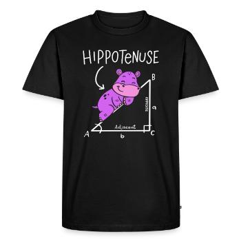 Hippoténuse Hypoténuse Triangle Géométrie Math - T-shirt Premium bio Homme - noir - Devant - Nico (187cm)