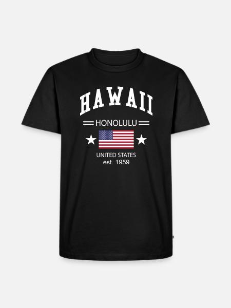 Hawaii - Men's Premium Organic T-Shirt - black