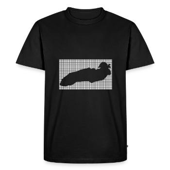 Great Lakes - Men's Premium Organic T-Shirt - black - Front - Nico (187cm)